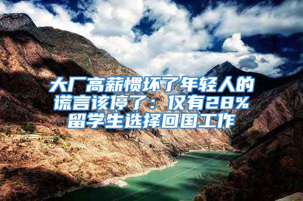 大廠高薪慣壞了年輕人的謊言該停了：僅有28%留學(xué)生選擇回國(guó)工作