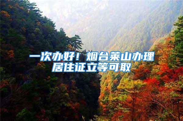 一次辦好！煙臺萊山辦理居住證立等可取