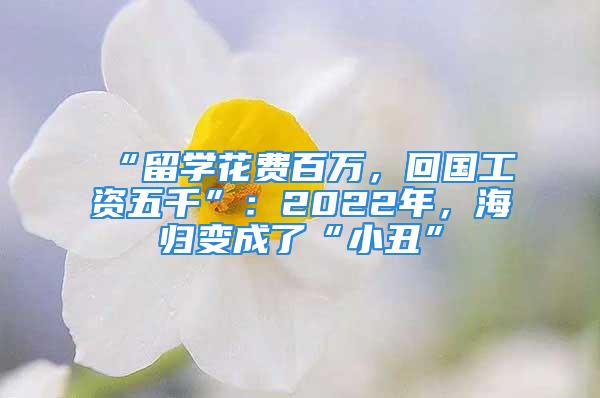 “留學(xué)花費(fèi)百萬(wàn)，回國(guó)工資五千”：2022年，海歸變成了“小丑”