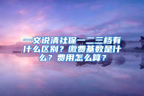 一文說清社保一二三檔有什么區(qū)別？繳費基數是什么？費用怎么算？