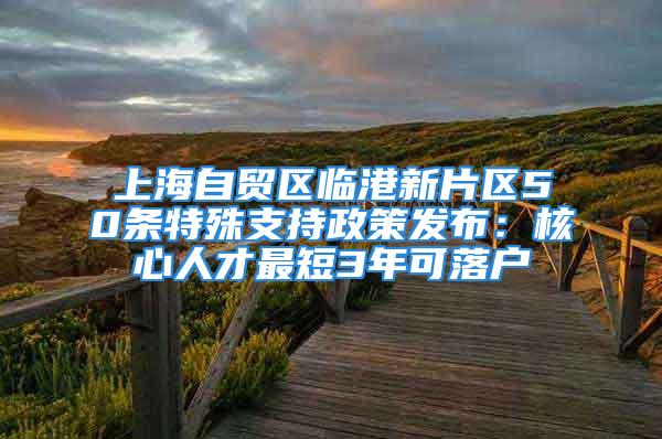 上海自貿(mào)區(qū)臨港新片區(qū)50條特殊支持政策發(fā)布：核心人才最短3年可落戶