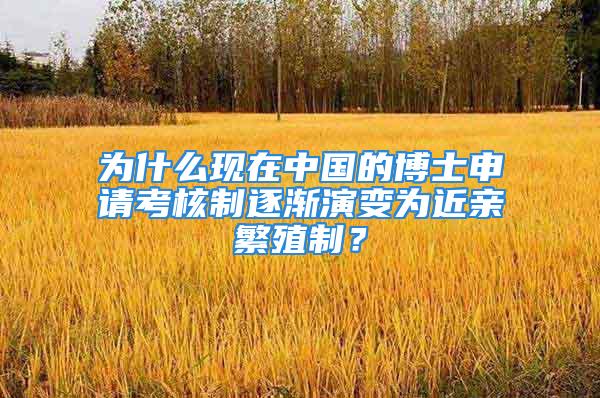 為什么現(xiàn)在中國的博士申請考核制逐漸演變?yōu)榻H繁殖制？