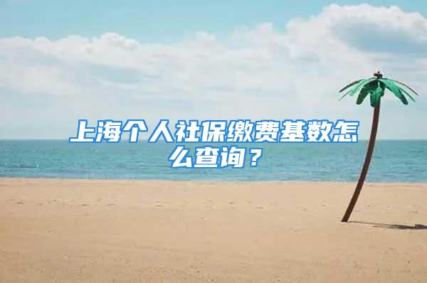 上海個人社保繳費基數(shù)怎么查詢？