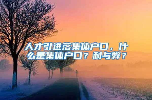 人才引進(jìn)落集體戶口，什么是集體戶口？利與弊？