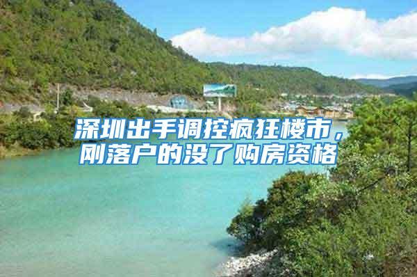 深圳出手調(diào)控瘋狂樓市，剛落戶的沒了購房資格