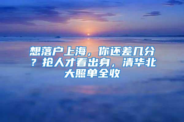 想落戶上海，你還差幾分？搶人才看出身，清華北大照單全收