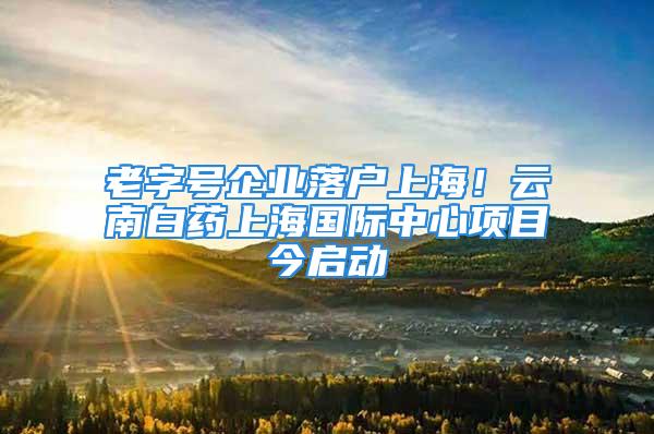 老字號企業(yè)落戶上海！云南白藥上海國際中心項目今啟動