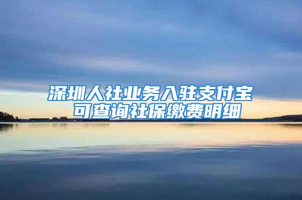 深圳人社業(yè)務(wù)入駐支付寶 可查詢社保繳費(fèi)明細(xì)