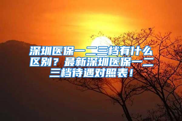 深圳醫(yī)保一二三檔有什么區(qū)別？最新深圳醫(yī)保一二三檔待遇對照表！