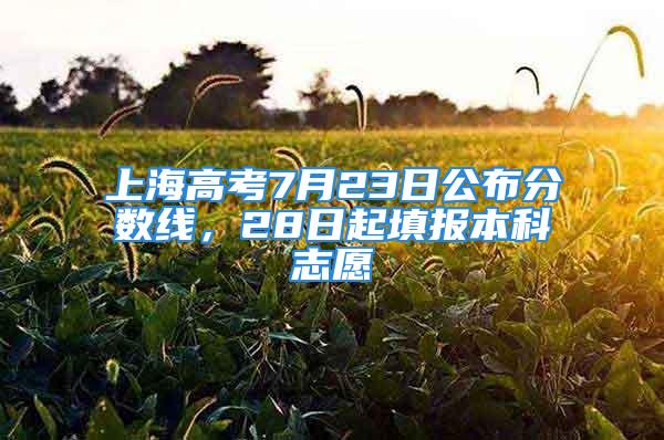 上海高考7月23日公布分?jǐn)?shù)線，28日起填報本科志愿