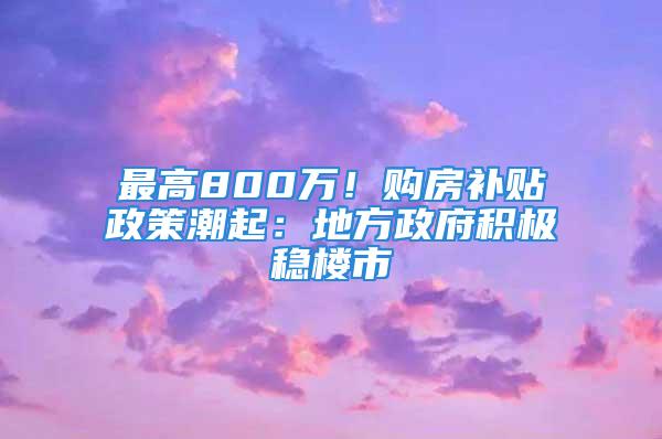 最高800萬(wàn)！購(gòu)房補(bǔ)貼政策潮起：地方政府積極穩(wěn)樓市