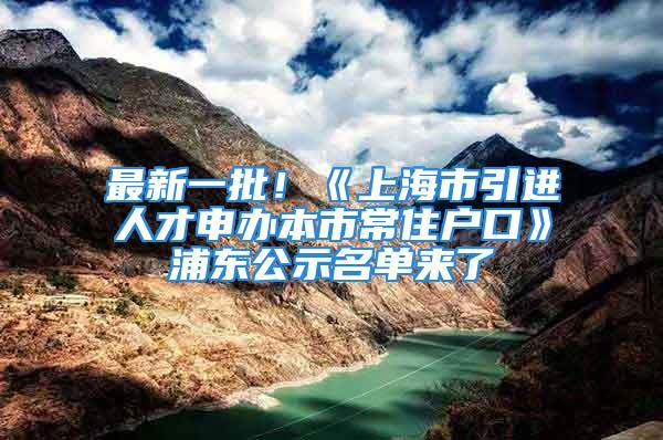 最新一批！《上海市引進人才申辦本市常住戶口》浦東公示名單來了