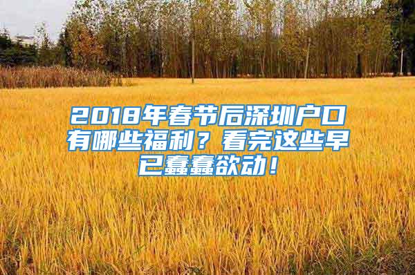 2018年春節(jié)后深圳戶口有哪些福利？看完這些早已蠢蠢欲動(dòng)！