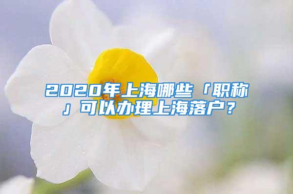 2020年上海哪些「職稱」可以辦理上海落戶？