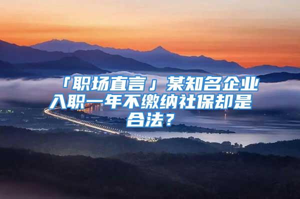 「職場(chǎng)直言」某知名企業(yè)入職一年不繳納社保卻是合法？