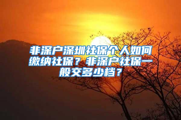 非深戶深圳社保個人如何繳納社保？非深戶社保一般交多少檔？