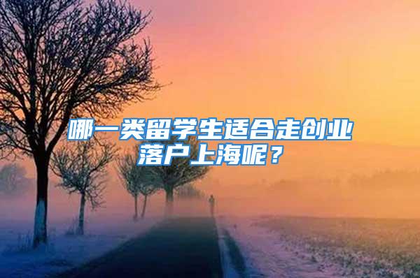 哪一類留學(xué)生適合走創(chuàng)業(yè)落戶上海呢？