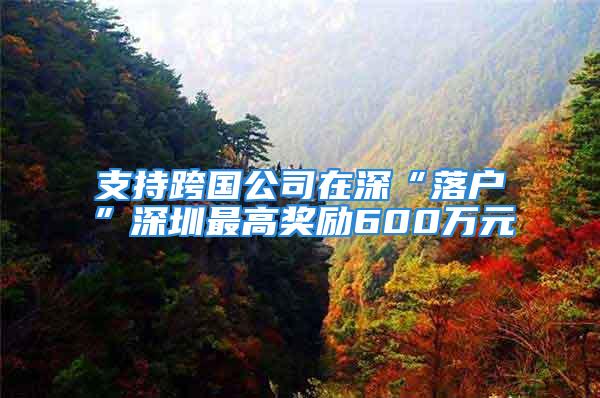 支持跨國公司在深“落戶”深圳最高獎勵600萬元