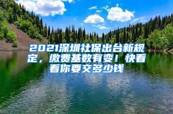 2021深圳社保出臺(tái)新規(guī)定，繳費(fèi)基數(shù)有變！快看看你要交多少錢(qián)