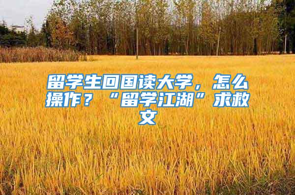 留學(xué)生回國讀大學(xué)，怎么操作？“留學(xué)江湖”求救文