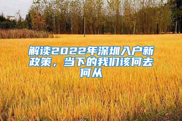 解讀2022年深圳入戶新政策，當(dāng)下的我們該何去何從