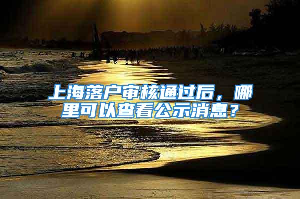 上海落戶審核通過后，哪里可以查看公示消息？