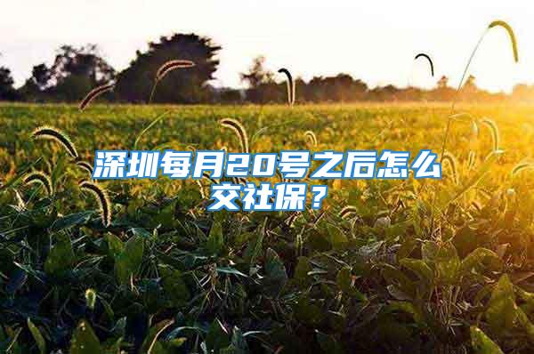 深圳每月20號之后怎么交社保？