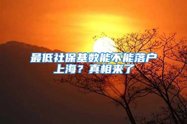 最低社?；鶖?shù)能不能落戶上海？真相來(lái)了