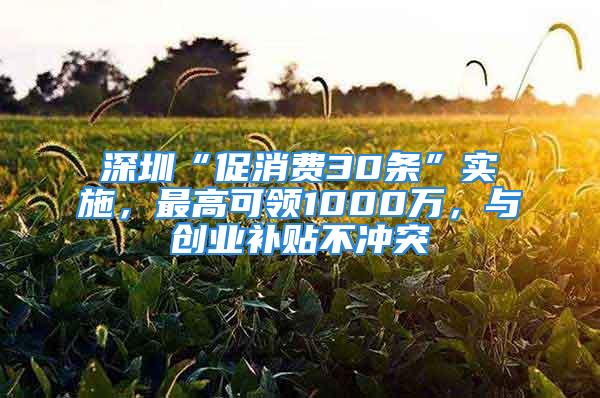 深圳“促消費(fèi)30條”實(shí)施，最高可領(lǐng)1000萬，與創(chuàng)業(yè)補(bǔ)貼不沖突