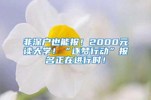 非深戶也能報(bào)！2000元讀大學(xué)！“逐夢行動”報(bào)名正在進(jìn)行時！