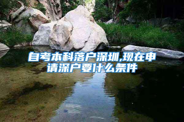 自考本科落戶深圳,現(xiàn)在申請(qǐng)深戶要什么條件