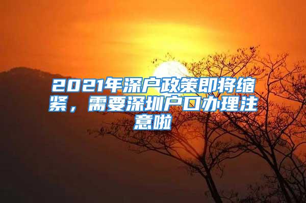 2021年深戶政策即將縮緊，需要深圳戶口辦理注意啦