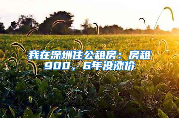 我在深圳住公租房：房租900，6年沒(méi)漲價(jià)