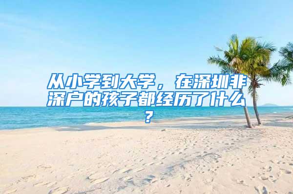 從小學(xué)到大學(xué)，在深圳非深戶的孩子都經(jīng)歷了什么？