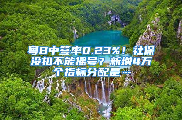 粵B中簽率0.23%！社保沒扣不能搖號？新增4萬個指標(biāo)分配是…