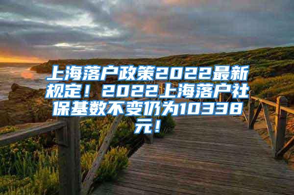 上海落戶政策2022最新規(guī)定！2022上海落戶社?；鶖?shù)不變?nèi)詾?0338元！