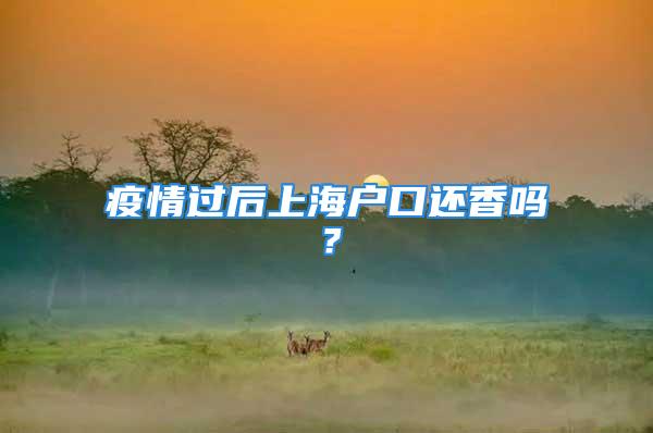 疫情過后上海戶口還香嗎？