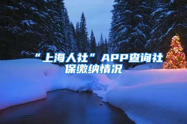 “上海人社”APP查詢社保繳納情況