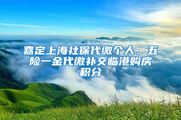 嘉定上海社保代繳個(gè)人、五險(xiǎn)一金代繳補(bǔ)交臨港購房積分