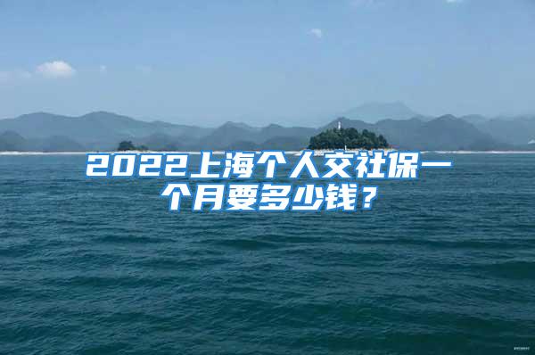 2022上海個(gè)人交社保一個(gè)月要多少錢？