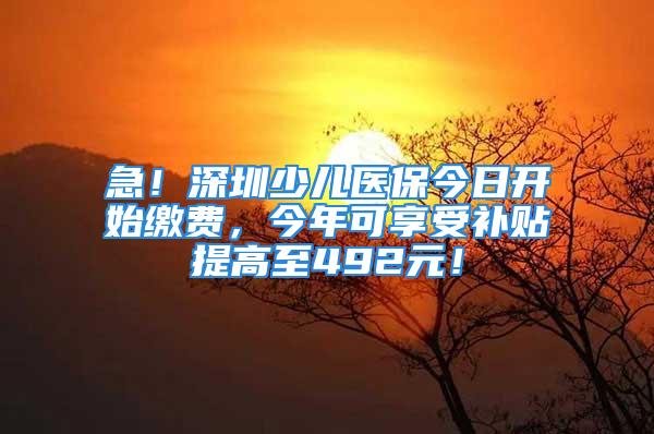 急！深圳少兒醫(yī)保今日開始繳費，今年可享受補貼提高至492元！