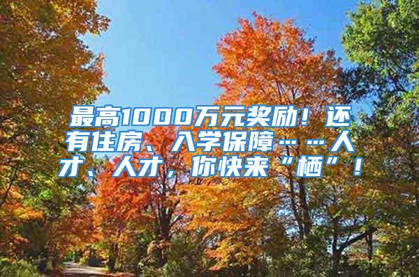 最高1000萬(wàn)元獎(jiǎng)勵(lì)！還有住房、入學(xué)保障……人才、人才，你快來(lái)“棲”！