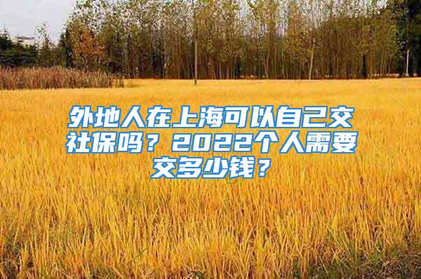 外地人在上海可以自己交社保嗎？2022個人需要交多少錢？