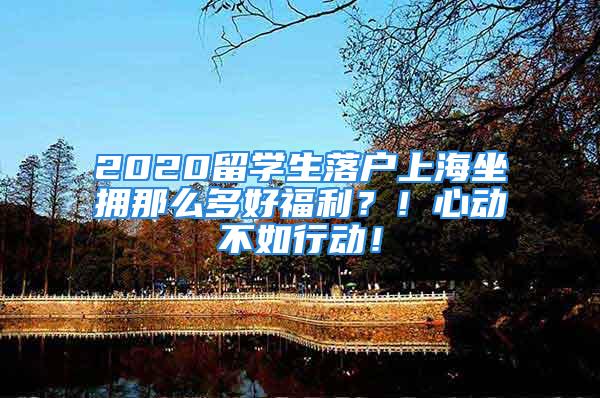 2020留學(xué)生落戶上海坐擁那么多好福利？！心動不如行動！