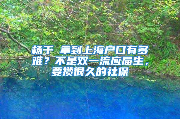 楊千嬅拿到上海戶口有多難？不是雙一流應(yīng)屆生，要攢很久的社保