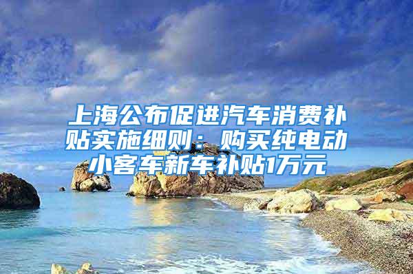 上海公布促進汽車消費補貼實施細則：購買純電動小客車新車補貼1萬元