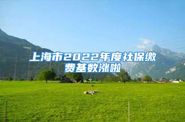 上海市2022年度社保繳費(fèi)基數(shù)漲啦