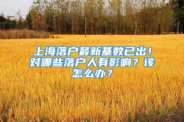 上海落戶最新基數(shù)已出！對哪些落戶人有影響？該怎么辦？