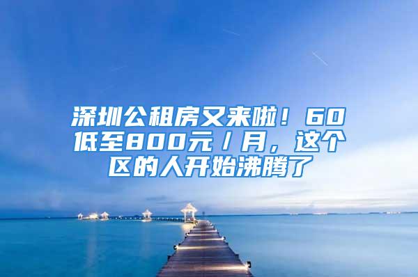 深圳公租房又來啦！60㎡低至800元／月，這個區(qū)的人開始沸騰了