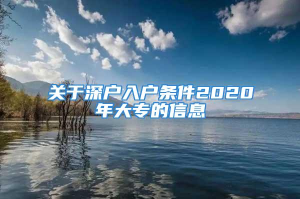 關(guān)于深戶入戶條件2020年大專的信息